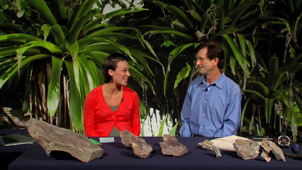 Smithsonian Science How?