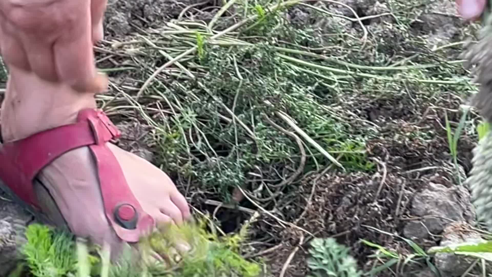 Cooking and Kids with Vlada_  Serbia and Making Homemade Sausages