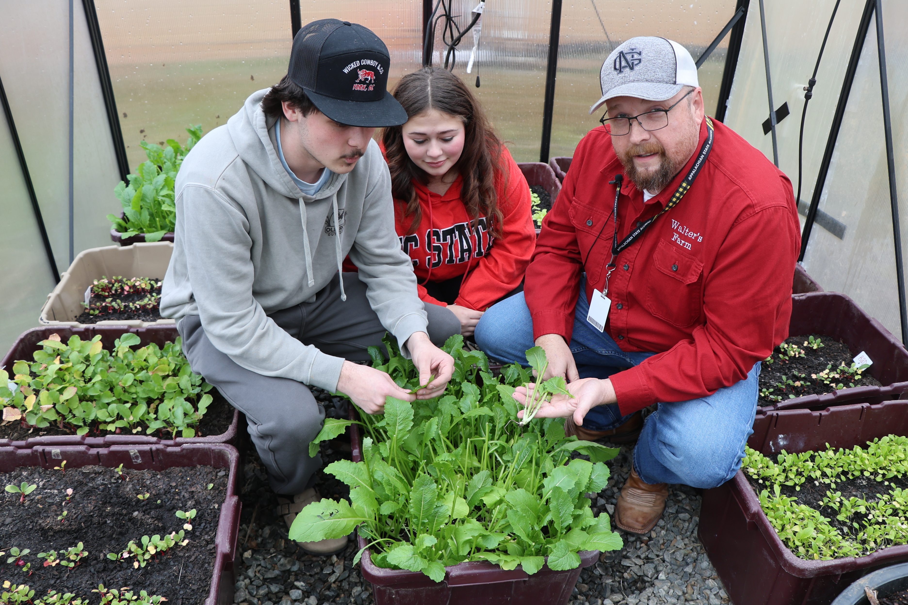 Thumbnail image for North Gaston Agriculture Program